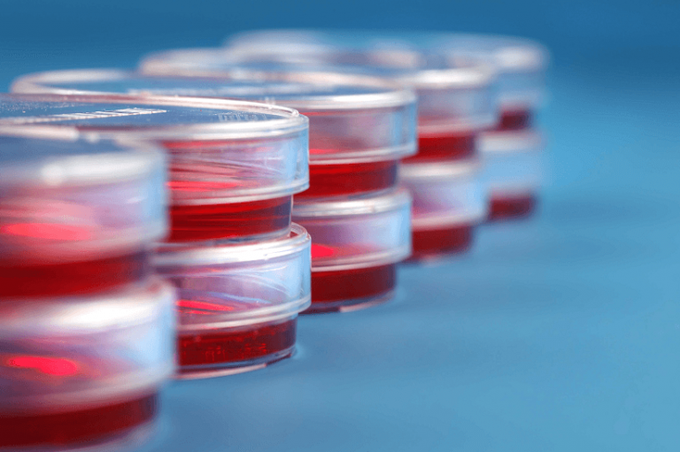 Cleaning Validation The Critical Steps Involved LearnGxP Accredited